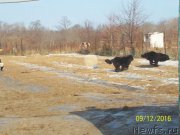 Превью фото № 218161