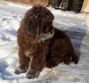 Превью фото № 218167