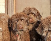 Превью фото № 218173