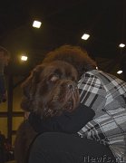 Превью фото № 218274