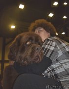 Превью фото № 218276