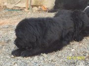 Превью фото № 218299