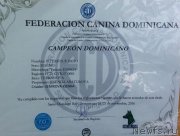 Превью фото № 218380