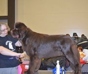 Превью фото № 218434