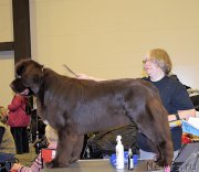 Превью фото № 218438