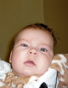 Превью фото № 218467