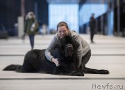 Превью фото № 218484