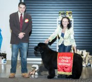 Превью фото № 218485