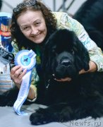 Превью фото № 218489