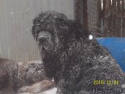 Превью фото № 218490