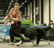 Превью фото № 218560