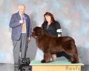 Превью фото № 218577