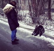 Превью фото № 218592