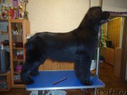 Превью фото № 218688