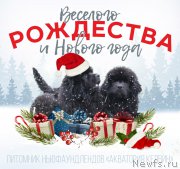 Превью фото № 218704