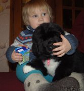 Превью фото № 218907