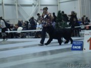 Превью фото № 218934