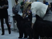 Превью фото № 218937