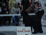 Превью фото № 218942