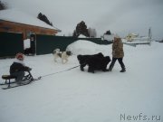 Превью фото № 218949