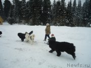 Превью фото № 218954