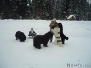 Превью фото № 218976