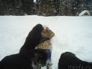 Превью фото № 218979