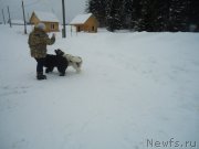 Превью фото № 218987