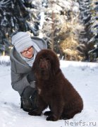 Превью фото № 219045