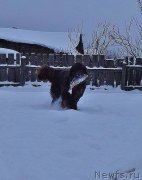 Превью фото № 219058