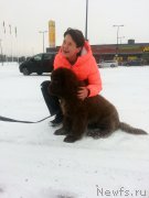 Превью фото № 219068