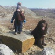 Превью фото № 219105