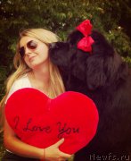 Превью фото № 219109