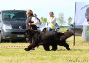 Превью фото № 219111