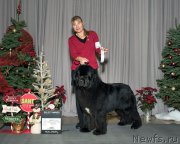 Превью фото № 219113