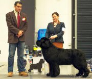 Превью фото № 219119