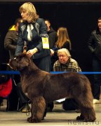 Превью фото № 219121