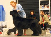 Превью фото № 219124