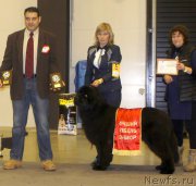 Превью фото № 219126