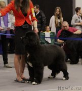 Превью фото № 219163