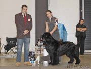 Превью фото № 219181