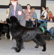 Превью фото № 219190