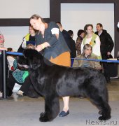 Превью фото № 219195