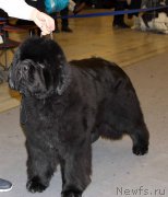 Превью фото № 219199