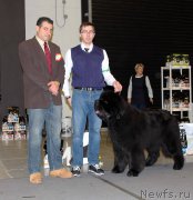 Превью фото № 219200