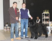 Превью фото № 219201