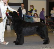 Превью фото № 219206