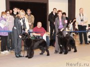 Превью фото № 219215