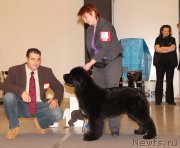 Превью фото № 219219