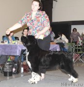 Превью фото № 219230